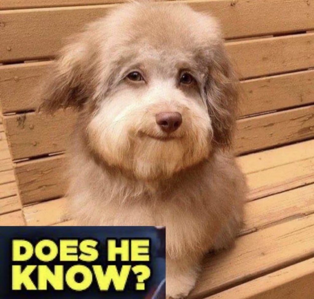 DOES HE KNOW?